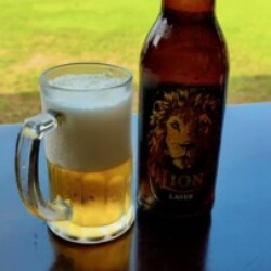 Profile photo of Straight guy RC