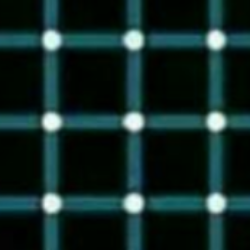 Profile photo of B.U.Perera