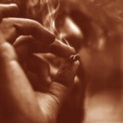 Profile photo of L P Perera