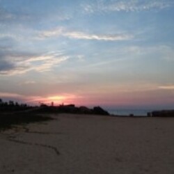 Profile photo of Bandara