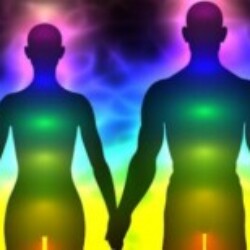 Profile photo of lakshan