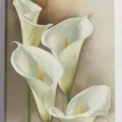 Profile photo of nethula dayananda