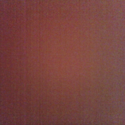 Profile photo of ameenshareefdeen