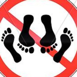 Profile photo of Prasad