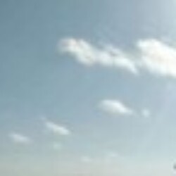 Profile photo of Isula