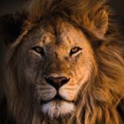 Profile photo of Namal