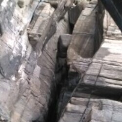 Profile photo of kamalan