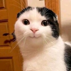 Profile photo of nadun95