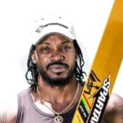 Profile photo of Doors and windows