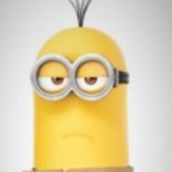 Profile photo of madush