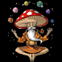 Profile photo of Romesh