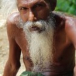 Profile photo of Sadu