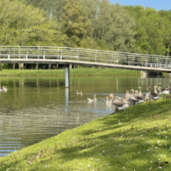 Profile photo of Trav