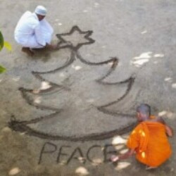 Profile photo of Hafi