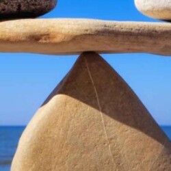 Profile photo of Vihanga