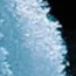 Profile photo of Dissanayake