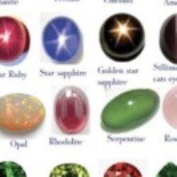 Profile photo of Men