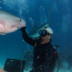 Profile photo of nuwan