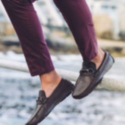 Profile photo of Pr90074