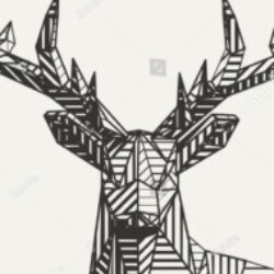 Profile photo of Malith