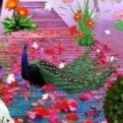 Profile photo of ashoka