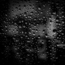 Profile photo of Eran