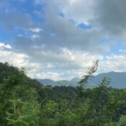 Profile photo of Kasun Galahitige