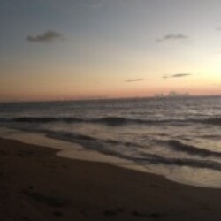 Profile photo of riyas