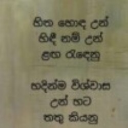 Profile photo of Sudath