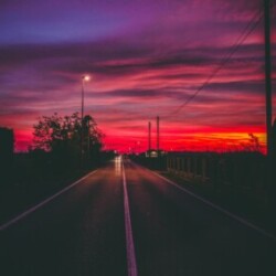 Profile photo of Roro87