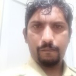 Profile photo of S.silva