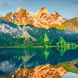 Profile photo of George