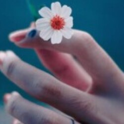 Profile photo of plplolp