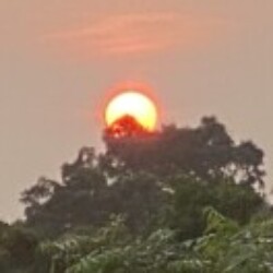 Profile photo of Kuul121