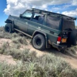 Profile photo of DZ10