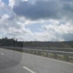 Profile photo of Kcd1122