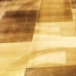 Profile photo of Trustme