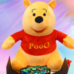 Profile photo of Harsha pradeep