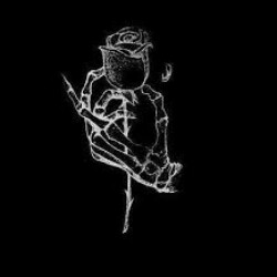 Profile photo of sanfdo