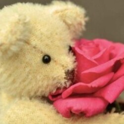 Profile photo of Laki