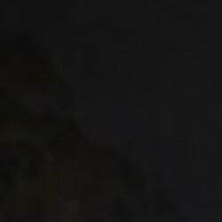 Profile photo of Shan