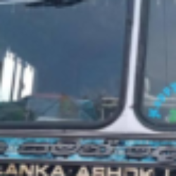 Profile picture of Pasindu