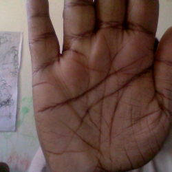 Profile photo of ravi