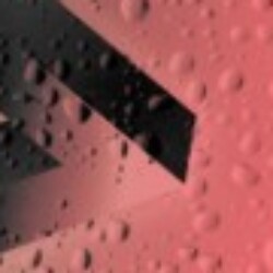 Profile photo of Kim