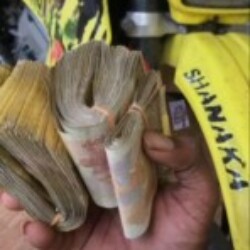 Profile photo of Bingweer