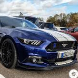 Profile photo of Dil J