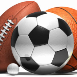 Profile photo of Rango