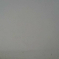 Profile photo of Sherden Sylvester