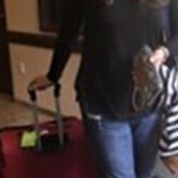 Profile photo of sarabahjat