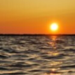 Profile photo of Nishi